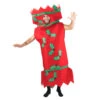 Adults Christmas Cracker Costume -BodySocks Cracker1