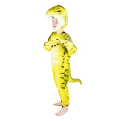 Dinosaur Costume