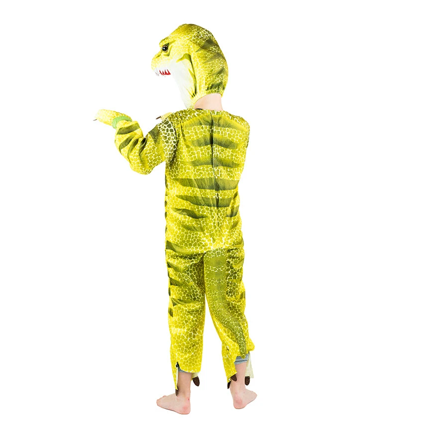 Dinosaur Costume 5 Dinosaur Costume - Image 3