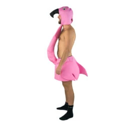 Flamingo Costume -BodySocks DSC00144