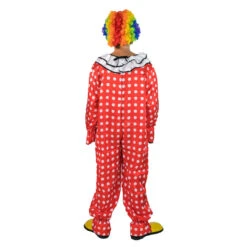 Adults Clown Costume -BodySocks DSC00162